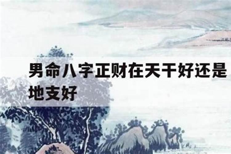 正财在藏干什么意思