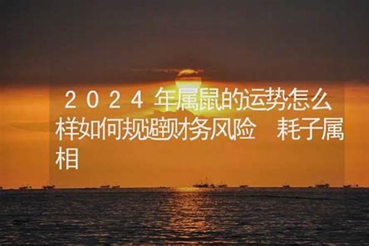 属马2002年今年多大了