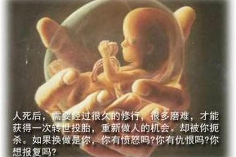 到哪里能超度堕胎的婴儿？