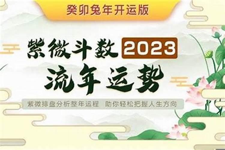 2022年属虎8月出生几月怀孕好