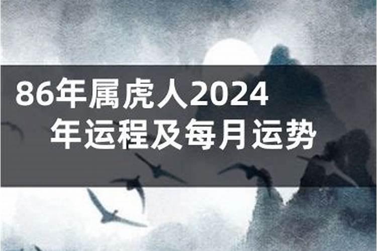 属虎马的人2023年运势运程如何