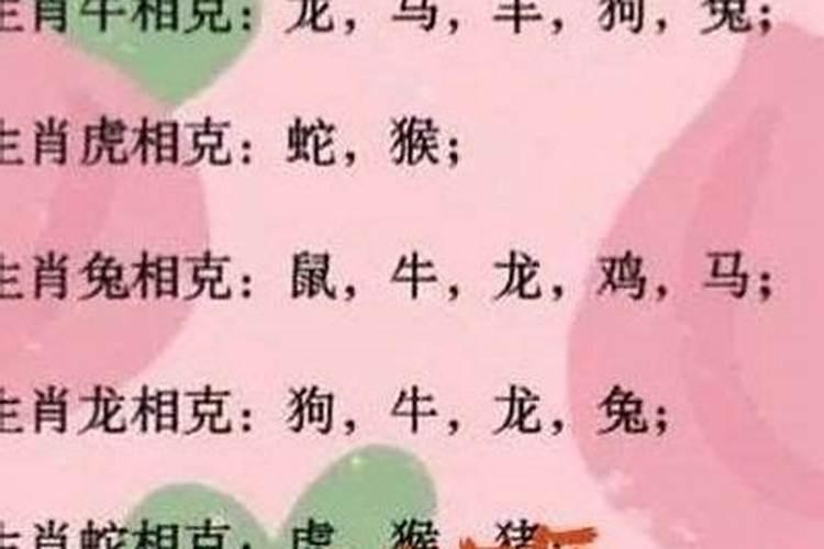 生辰八字中淑造什么意思