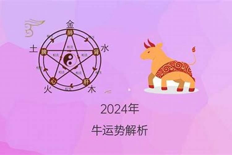 今年属狗的运气好不好呀女生