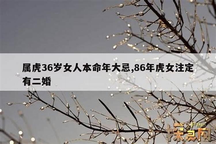 2006年出生的属鸡今年几岁