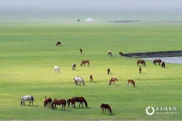 梦见寻找墓地风水宝地