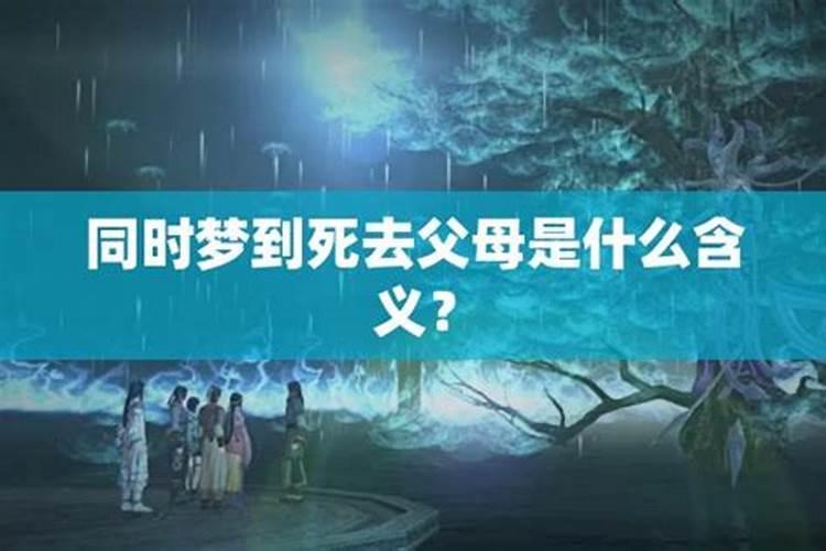 生肖牛2024年的感情运势如何