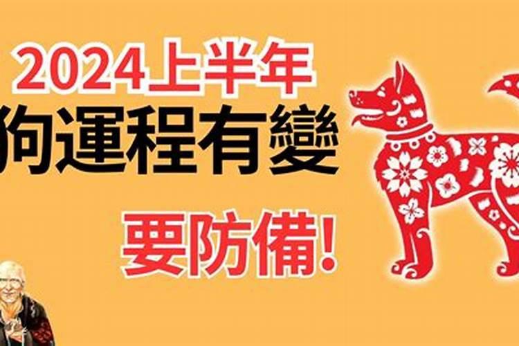 99属兔今年多大了虚岁