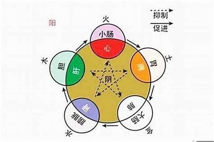 八字如何看五行属性