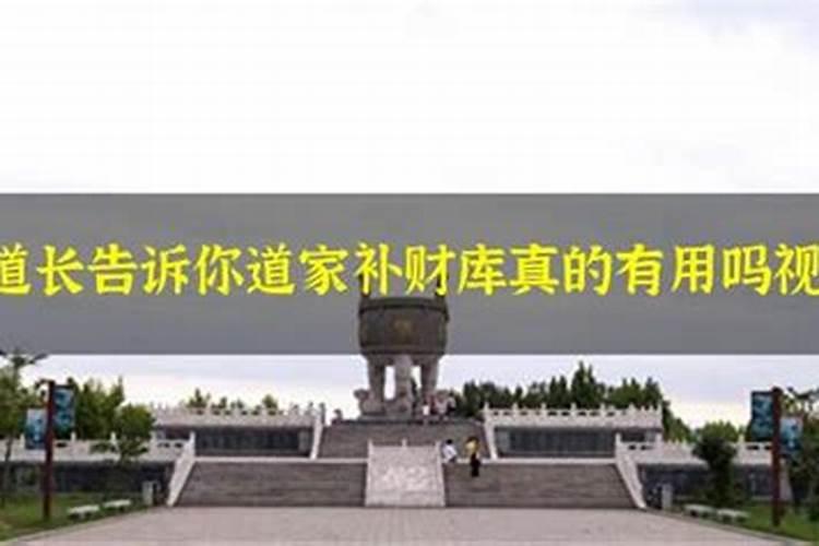 梦到家里进蛇什么预兆