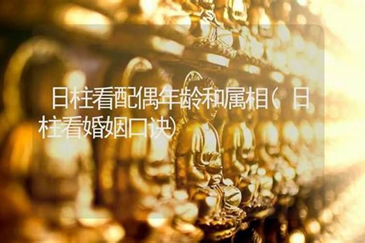 梦见找不到老公预示着什么