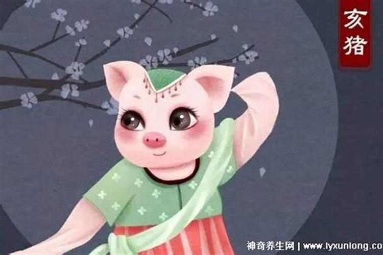 属猪的人今年运势如何