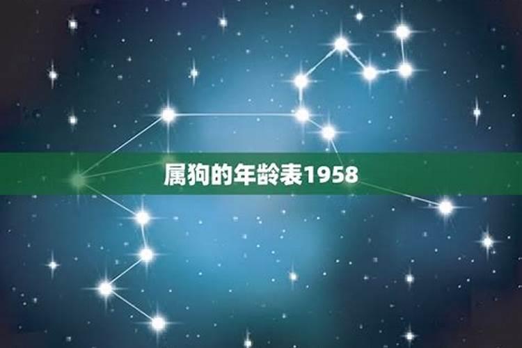 1958年的狗在[year]年的运势