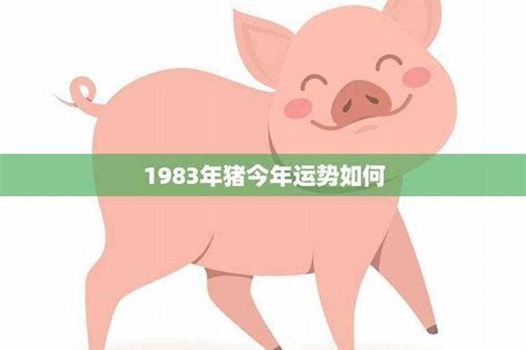 1983猪年运势[year]年运程