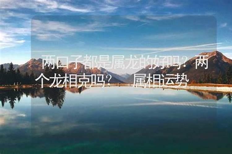 属龙的生什么属相的宝宝好