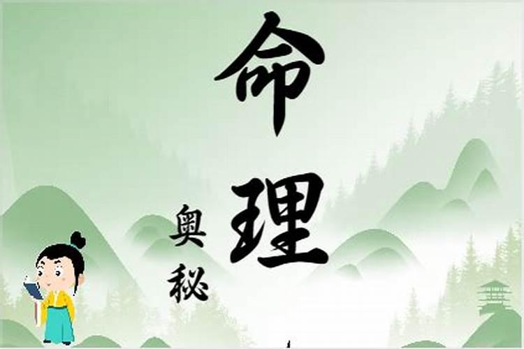 鸡是什么八字