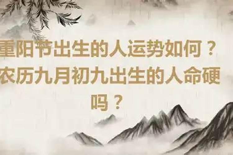 梦见马在我家里了