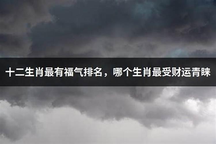 梦见黑猫和我很亲密是啥意思