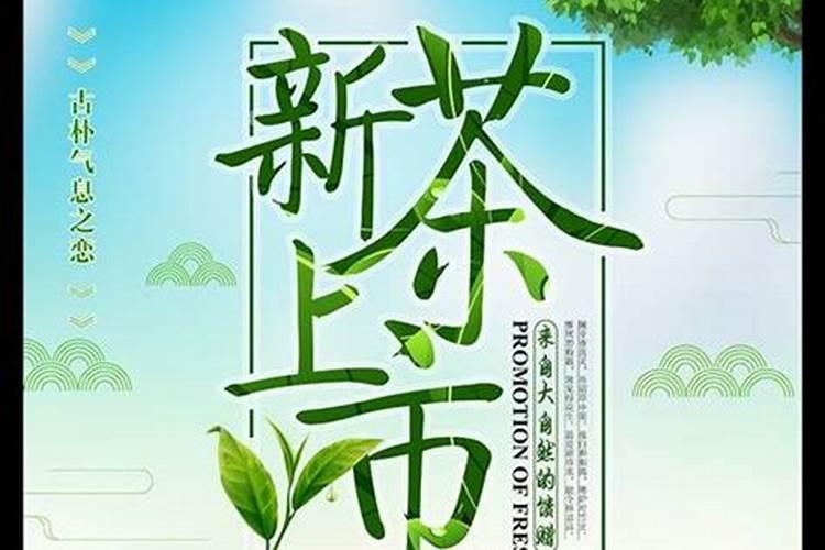 清明茶几月份上市