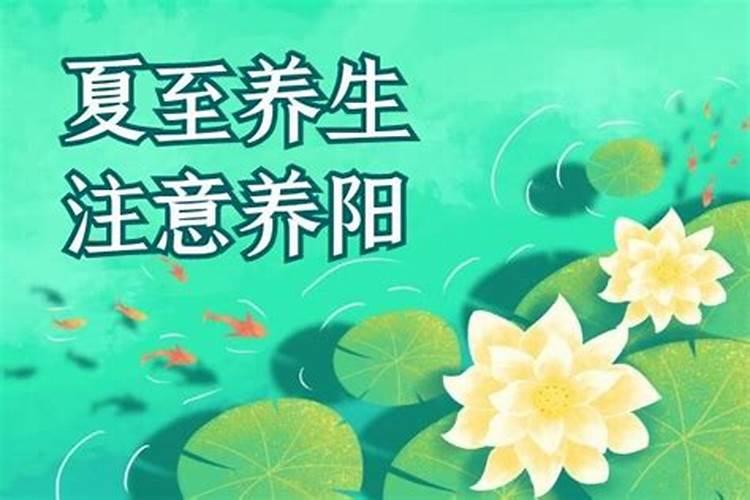 夏至该注意什么