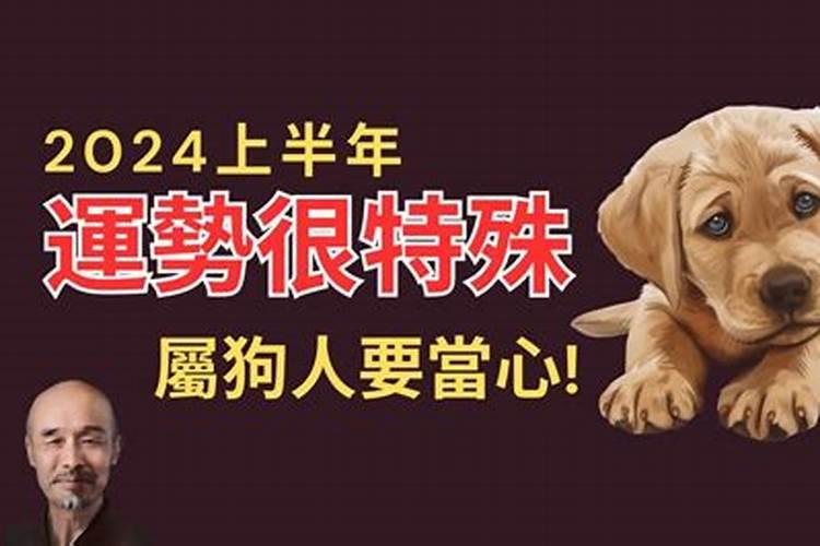 属马2024年运势分析