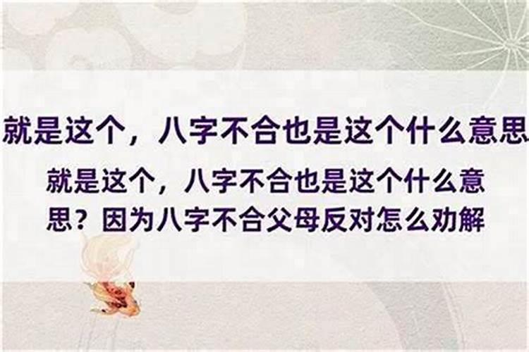 男猴与女牛属相合不合婚