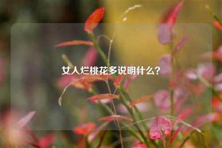 烂桃花什么意思