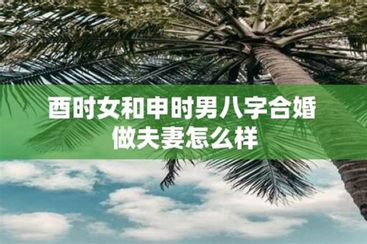 属老鼠跟属羊婚姻状况合不合