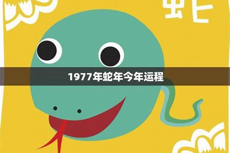 91年羊5月份运势如何